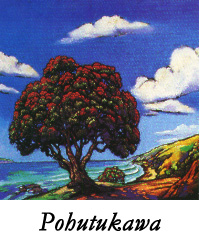 Pohutakawa