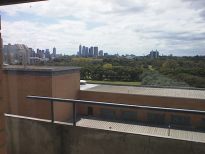 The view from the hospital